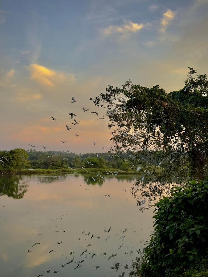 Ceylon Lodge - Airport Transit Hostel Negombo Luaran gambar